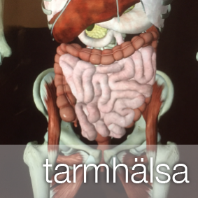 tarmhälsa